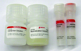Extract-N-Amp&#8482; Seed PCR Kit sufficient for 100&#160;extractions, sufficient for 100&#160;amplifications