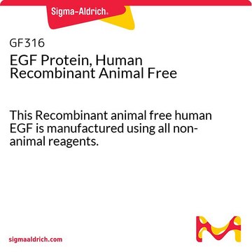 EGF Protein, Human Recombinant Animal Free This Recombinant animal free human EGF is manufactured using all non-animal reagents.