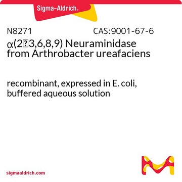 &#945;(2&#8594;3,6,8,9) Neuraminidase from Arthrobacter ureafaciens recombinant, expressed in E. coli, buffered aqueous solution