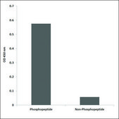 Anti-phospho-c-Kit (pTyr721) antibody produced in rabbit affinity isolated antibody