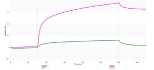 Anti-Perforin-1 Antibody, clone 1H11 ZooMAb&#174; Rabbit Monoclonal recombinant, expressed in HEK 293 cells