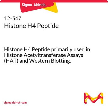 Histone H4 Peptide Histone H4 Peptide primarily used in Histone Acetyltransferase Assays (HAT) and Western Blotting.