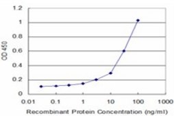 Monoclonal Anti-NOV antibody produced in mouse clone 3C2, purified immunoglobulin, buffered aqueous solution