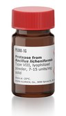 Protease from Bacillus licheniformis Type VIII, lyophilized powder, 7-15&#160;units/mg solid