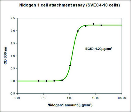 Nidogen-1 (NID1) human recombinant, expressed in HEK 293 cells, suitable for cell culture