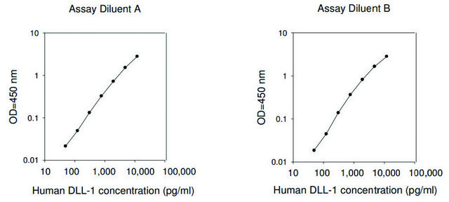 Human DLL1 / Delta-like Protein 1 ELISA Kit for serum, plasma, cell culture supernatants and urine