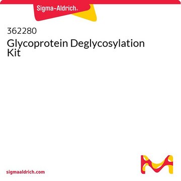 Glycoprotein Deglycosylation Kit