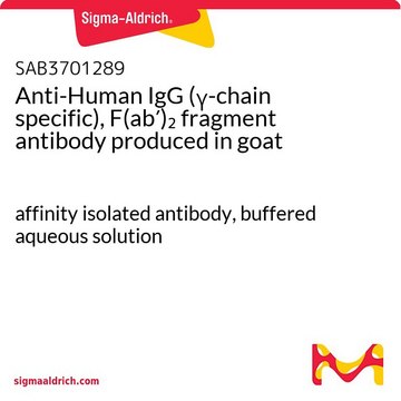 Anti-Human IgG (&#947;-chain specific), F(ab&#8242;)2 fragment antibody produced in goat affinity isolated antibody, buffered aqueous solution