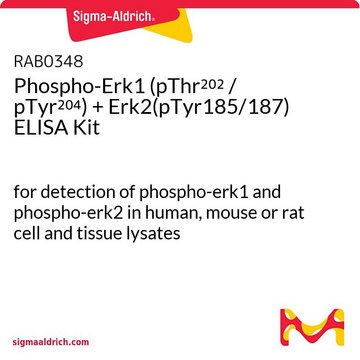 Phospho-Erk1 (pThr202 / pTyr204) + Erk2(pTyr185/187) ELISA Kit for detection of phospho-erk1 and phospho-erk2 in human, mouse or rat cell and tissue lysates