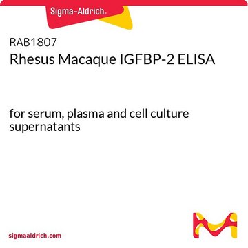 Rhesus Macaque IGFBP-2 ELISA for serum, plasma and cell culture supernatants