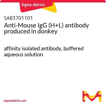 Anti-Mouse IgG (H+L) antibody produced in donkey affinity isolated antibody, buffered aqueous solution