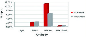 Imprint&#174; Chromatin Immunoprecipitation Kit Complete ChIP reaction in 6 hours in flexible strip well format