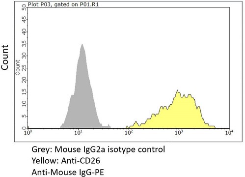 Anti-DPP4/CD26 Antibody, clone KU44.13A