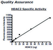 HDAC 2 His tag human recombinant, expressed in baculovirus infected insect cells, &#8805;80% (SDS-PAGE)