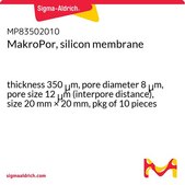 MakroPor, silicon membrane thickness 350&#160;&#956;m, pore diameter 8&#160;&#956;m, pore size 12&#160;&#956;m (interpore distance), size 20&#160;mm × 20&#160;mm, pkg of 10&#160;pieces