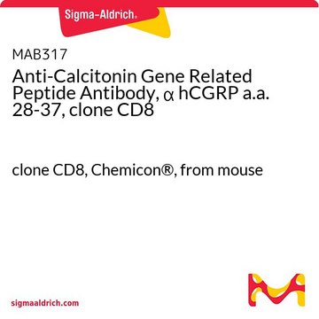 Anti-Calcitonin Gene Related Peptide Antibody, &#945; hCGRP a.a. 28-37, clone CD8 clone CD8, Chemicon&#174;, from mouse