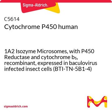 Cytochrome P450 human 1A2 Isozyme Microsomes, with P450 Reductase and cytochrome b5, recombinant, expressed in baculovirus infected insect cells (BTI-TN-5B1-4)
