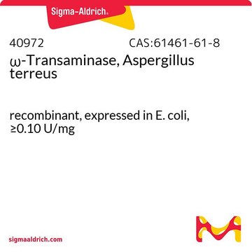 &#969;-Transaminase, Aspergillus terreus recombinant, expressed in E. coli, &#8805;0.10&#160;U/mg