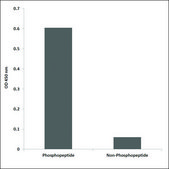 Anti-phospho-JAK3 (pTyr785) antibody produced in rabbit affinity isolated antibody