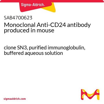 Monoclonal Anti-CD24 antibody produced in mouse clone SN3, purified immunoglobulin, buffered aqueous solution