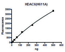 HDAC6 H611A human recombinant, expressed in baculovirus infected Sf9 cells, &#8805;79% (SDS-PAGE)