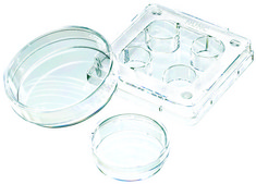 Nunc&#174; IVF multidish non-treated, 4 well dish, 1.9 cm2/well, 120/cs