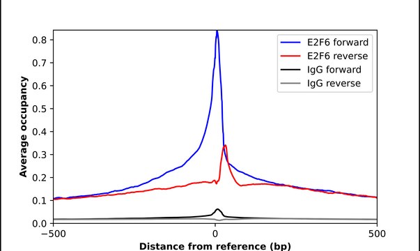 Anti-E2F6 antibody produced in rabbit Prestige Antibodies&#174; Powered by Atlas Antibodies, affinity isolated antibody