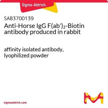 Anti-Horse IgG F(ab&#8242;)2-Biotin antibody produced in rabbit affinity isolated antibody, lyophilized powder