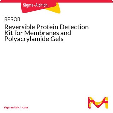 Reversible Protein Detection Kit for Membranes and Polyacrylamide Gels