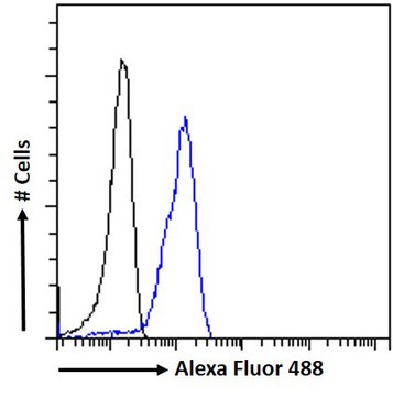 Anti-SAE1/AOS1 antibody produced in goat affinity isolated antibody, buffered aqueous solution