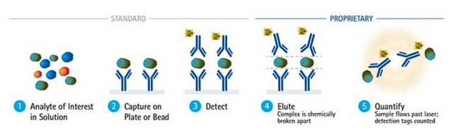 SMC&#174; Human IFN&#955;1 High Sensitivity Immunoassay Kit SMC&#174; advanced ultrasensitive immunoassay technology