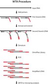 TransPlex&#174; Whole Transcriptome Amplification Kit DNA polymerase separate.