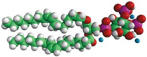 18:1 PI(4,5)P2 Avanti Research&#8482; - A Croda Brand