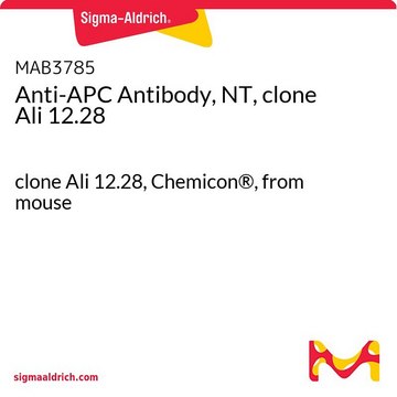 Anti-APC Antibody, NT, clone Ali 12.28 clone Ali 12.28, Chemicon&#174;, from mouse