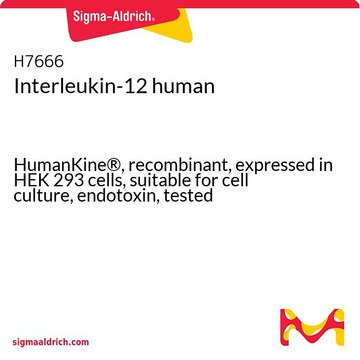 Interleukin-12 human HumanKine&#174;, recombinant, expressed in HEK 293 cells, suitable for cell culture, endotoxin, tested