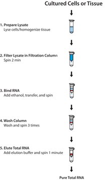 GenElute&#8482; Mammalian Total RNA Miniprep Kit sufficient for 70&#160;purifications