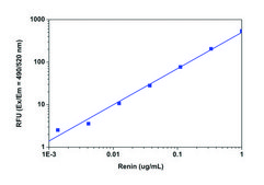 Renin Assay Kit sufficient for 100&#160;fluorometric&nbsp;tests
