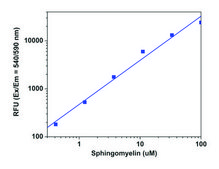 Fluorometric Sphingomyelin Assay Kit sufficient for 100&#160;fluorometric&nbsp;tests