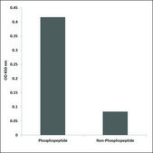 Anti-phospho-p38 MAPK (pThr179+Tyr181) antibody produced in rabbit affinity isolated antibody