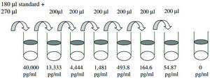 Human CD40 ELISA Kit for serum, plasma, cell culture supernatant and urine