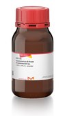 Amphotericin B from Streptomyces sp. ~80% (HPLC), powder