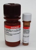 ReadyShield&#174; Protease Inhibitor Cocktail for use in purification of Histidine-tagged proteins, Non-freezing solution