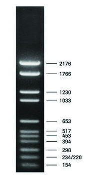 DNA Molecular Weight Marker VI pkg of 50&#160;&#956;g (in 200 &#956;l), solution