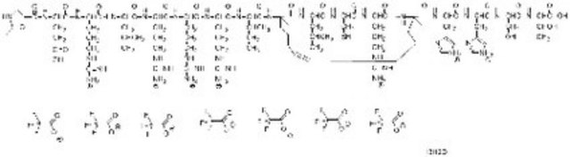 Notch Transcription Factor Inhibitor, SAHM1 Notch Transcription Factor Inhibitor, SAHM1, is a cell-permeable inhibitor that prevents assembly in the NOTCH1 trans-activation complex.