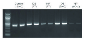 DNAstable&#174; Tube kit, for room temp preservation of DNA