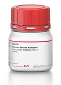 Bovine Serum Albumin heat shock fraction, pH 7, &#8805;98%