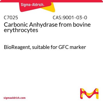 Carbonic Anhydrase from bovine erythrocytes BioReagent, suitable for GFC marker