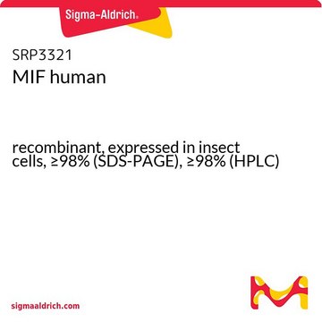 MIF human recombinant, expressed in insect cells, &#8805;98% (SDS-PAGE), &#8805;98% (HPLC)