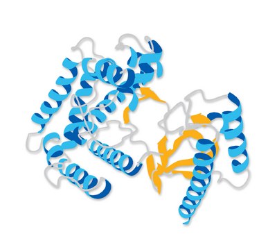 Caspase-9, Human, Recombinant, E. coli Caspase-9, Human, Recombinant is expressed in E. coli as a single polypeptide. Fused at the N- and C- termini to a His&#8226;Tag sequence. Undergoes spontaneous autoprocessing to yield the active enzyme.