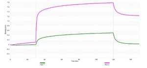 Anti-SLC1A3/EAAT1 Antibody, clone 2C3-K ZooMAb&#174; Rabbit Monoclonal recombinant, expressed in HEK 293 cells
